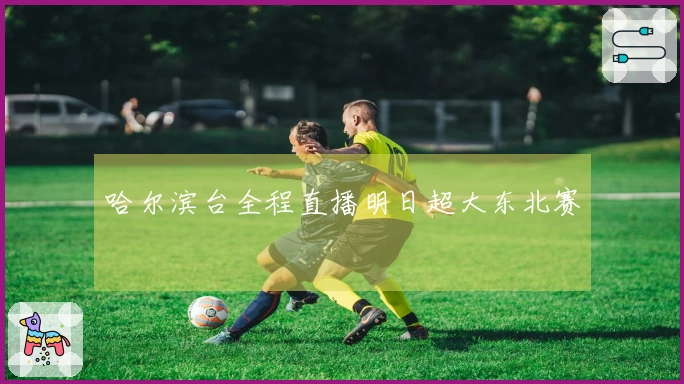 哈尔滨台全程直播明日超大东北赛