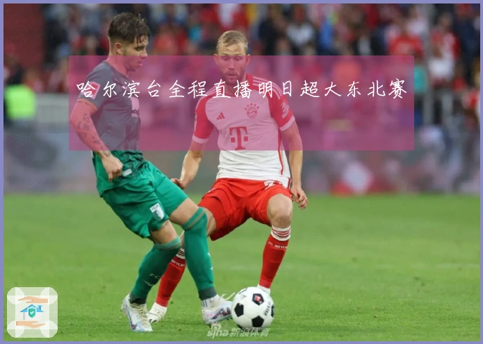 哈尔滨台全程直播明日超大东北赛
